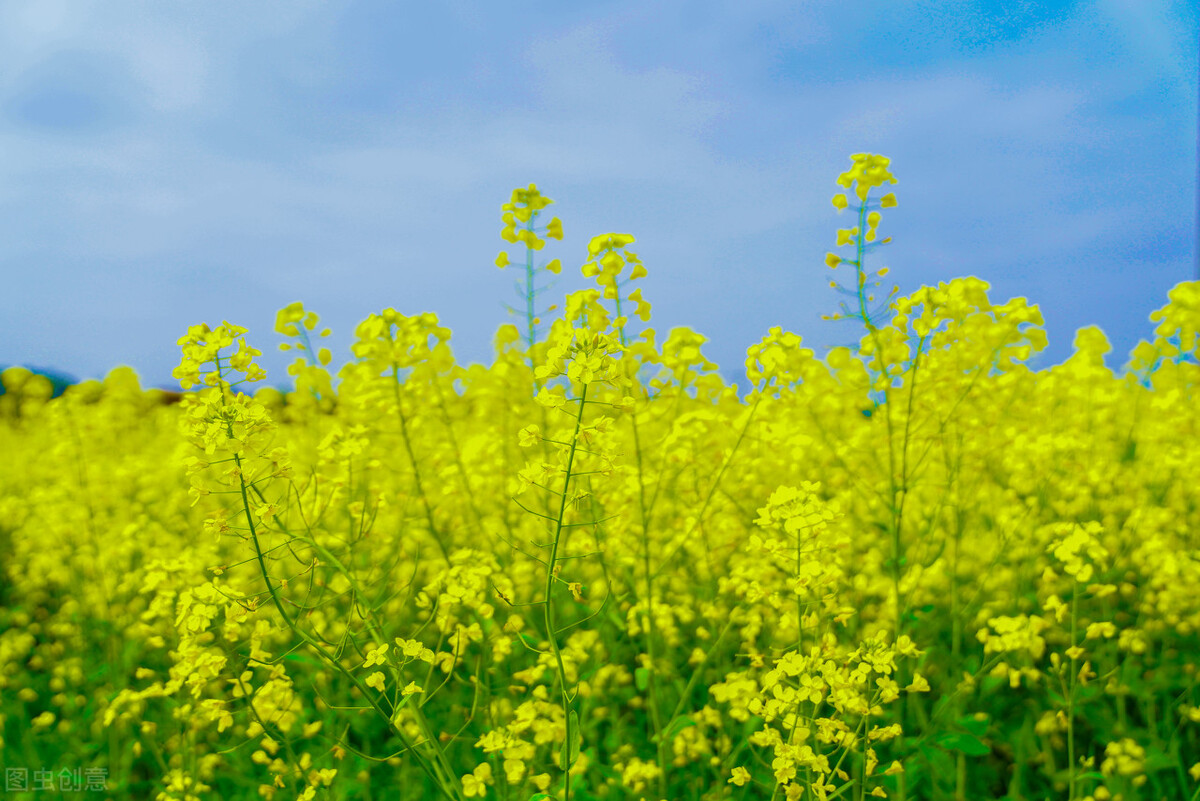 最美的音符视频,最美的音符作文400字