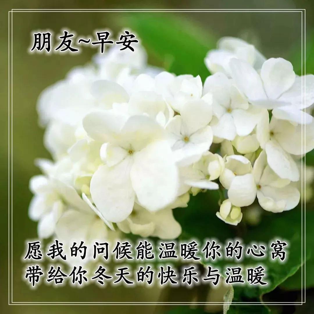 早上好表情图片带字早上好问候语,早上好祝福问候语大全简短图片