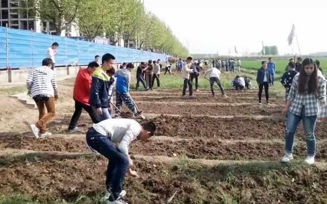 鄠邑区开心农场,西安开心农场果园