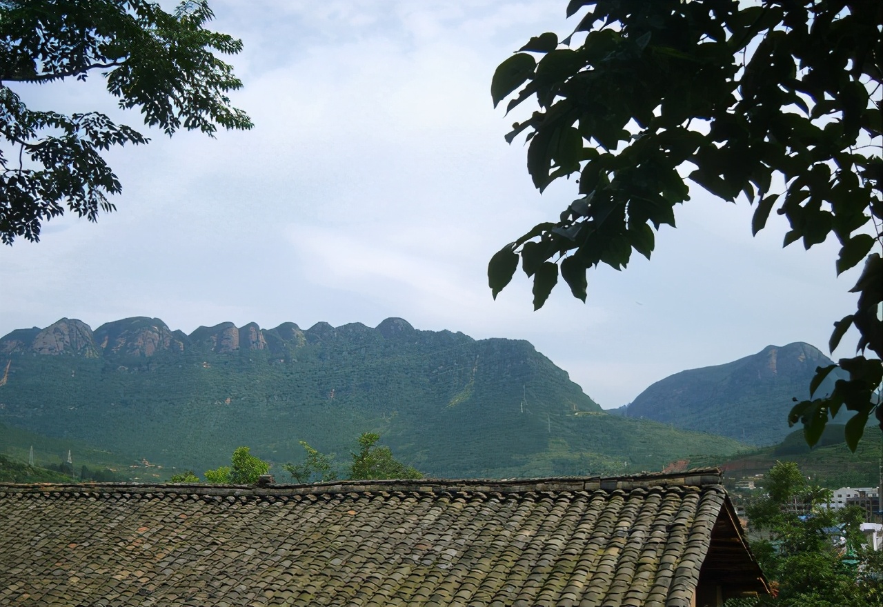 季夏,我和“ck81”兄弟去沙溪坝