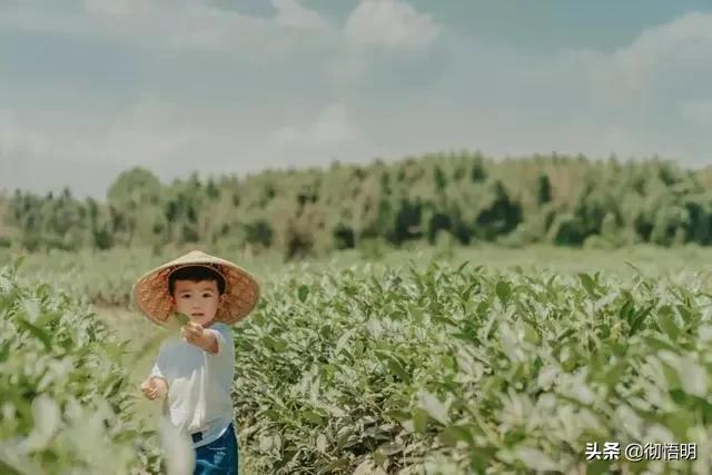 必去旅游的10个地方小众,必去旅游的10个地方国外