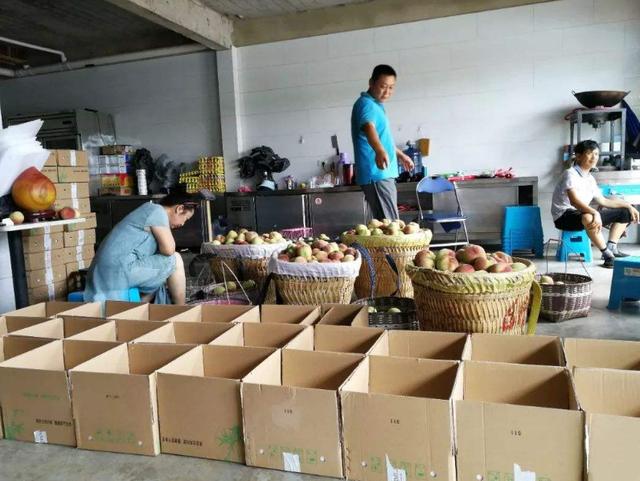 农村互联网养殖创业政策,互联网农民致富