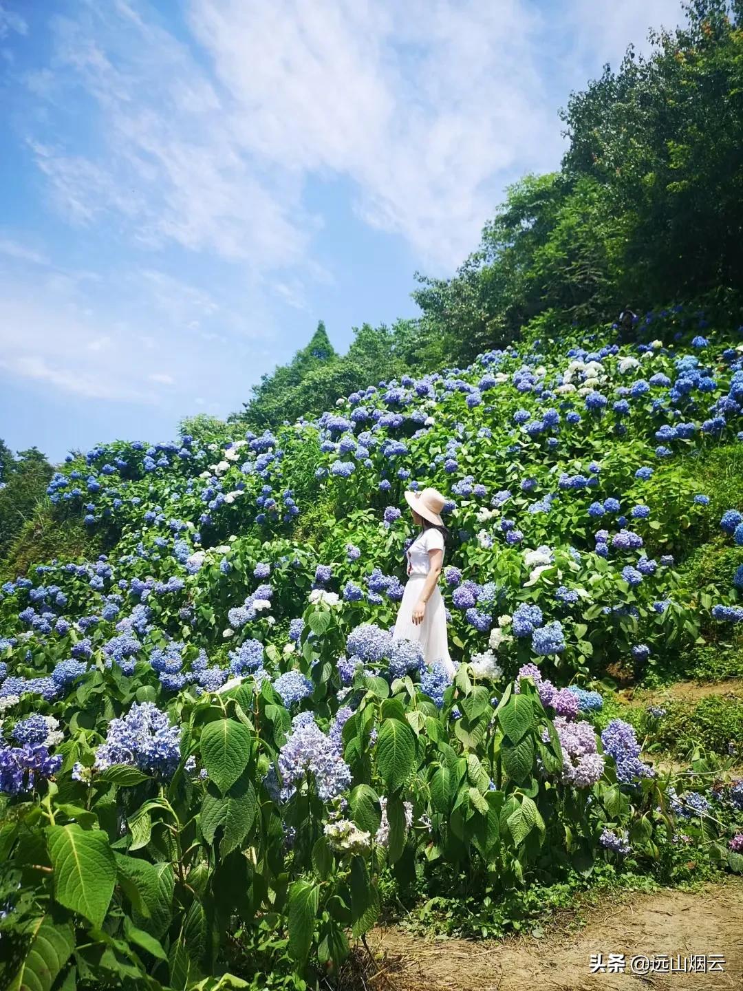 蓝牙自拍杆使用教程,教大家学习自拍杆的小妙招
