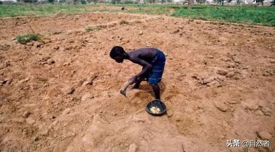 鱼离开水可能会活着对吗,鱼离开水会死下一句