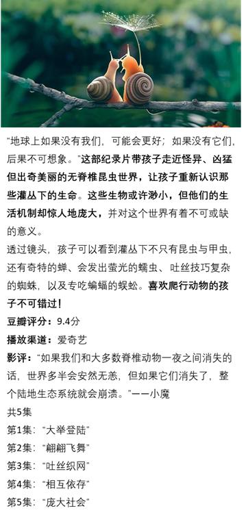 动物世界大自然野生动物纪录片,值得学生看的大自然经典纪录片