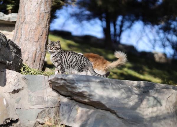 摄影术语解读大全,摄影圈名字大全