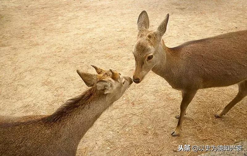 痛点亮点分析,痛点亮点爆点