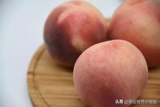 猕猴桃中国最好吃的品种,中国猕猴桃什么品种最好吃