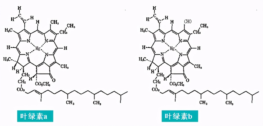 应朋友们的要求,今天分享下着色剂、护色剂和漂白剂的使用知识