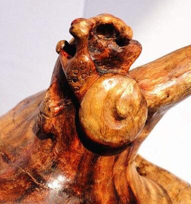 这种树木在石头缝内长大，一小块价值上千元，村民常常砍下当柴烧