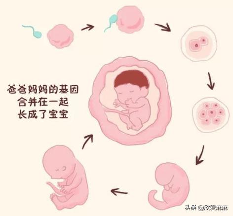 如何正确给孩子进行家庭教育,如何正确给孩子进行性教育