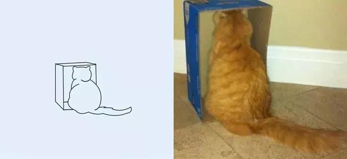 一波可爱动物简笔画,超火的简笔画动图