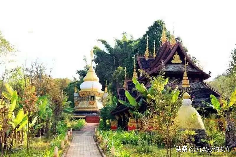 勐海旅游攻略自由行路线图,中国旅游日云南西双版纳