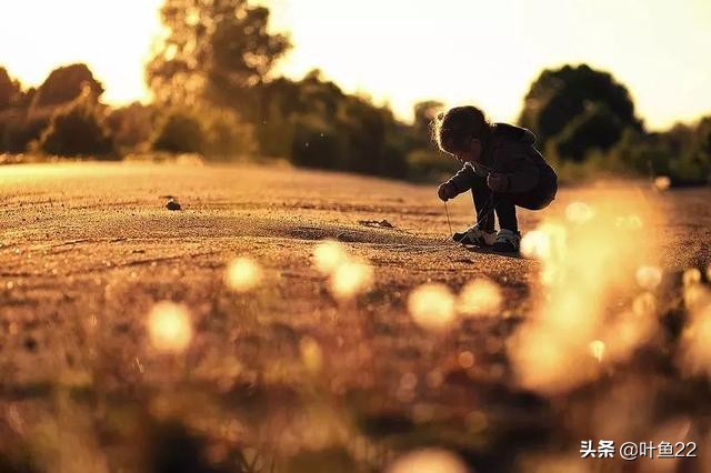 摄影阳光教程,摄影技巧阳光灿烂的日子