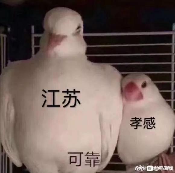 这散装的江苏，也忒硬核了吧