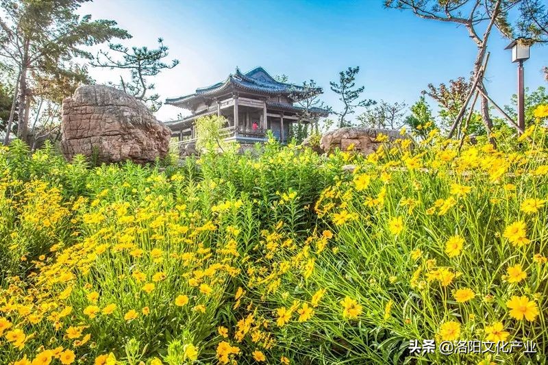 洛阳万安山七彩大峡谷与山顶公园,2020年洛阳万安山山顶公园照片