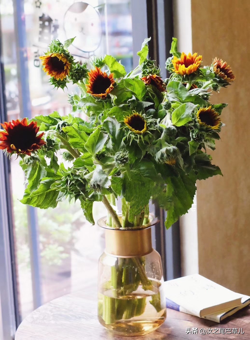 鲜花蔫了注意事项,买的鲜花有点蔫怎么养