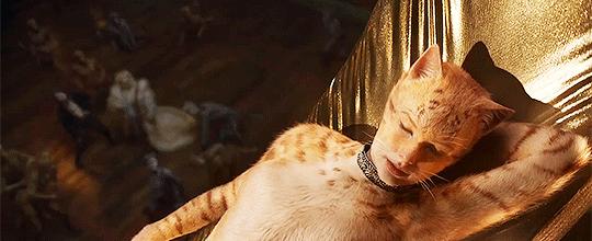 「JALOUSE」有一说一，我确实馋他们的身子