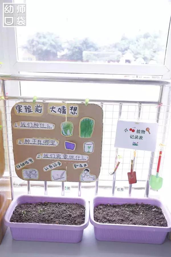 特色幼儿园活动区,高端幼儿园特色活动