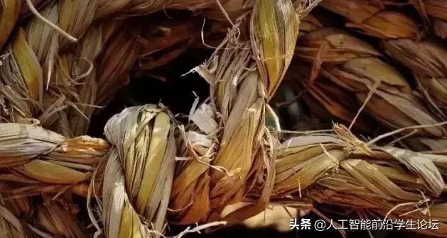 存储技术发展史,存储发展史