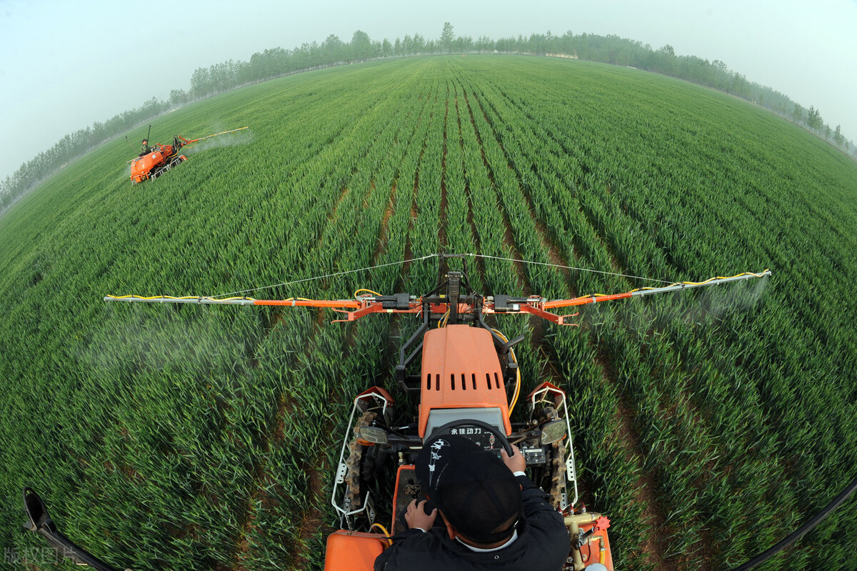 河北热门创业项目,河北小本创业好项目运营指导必看