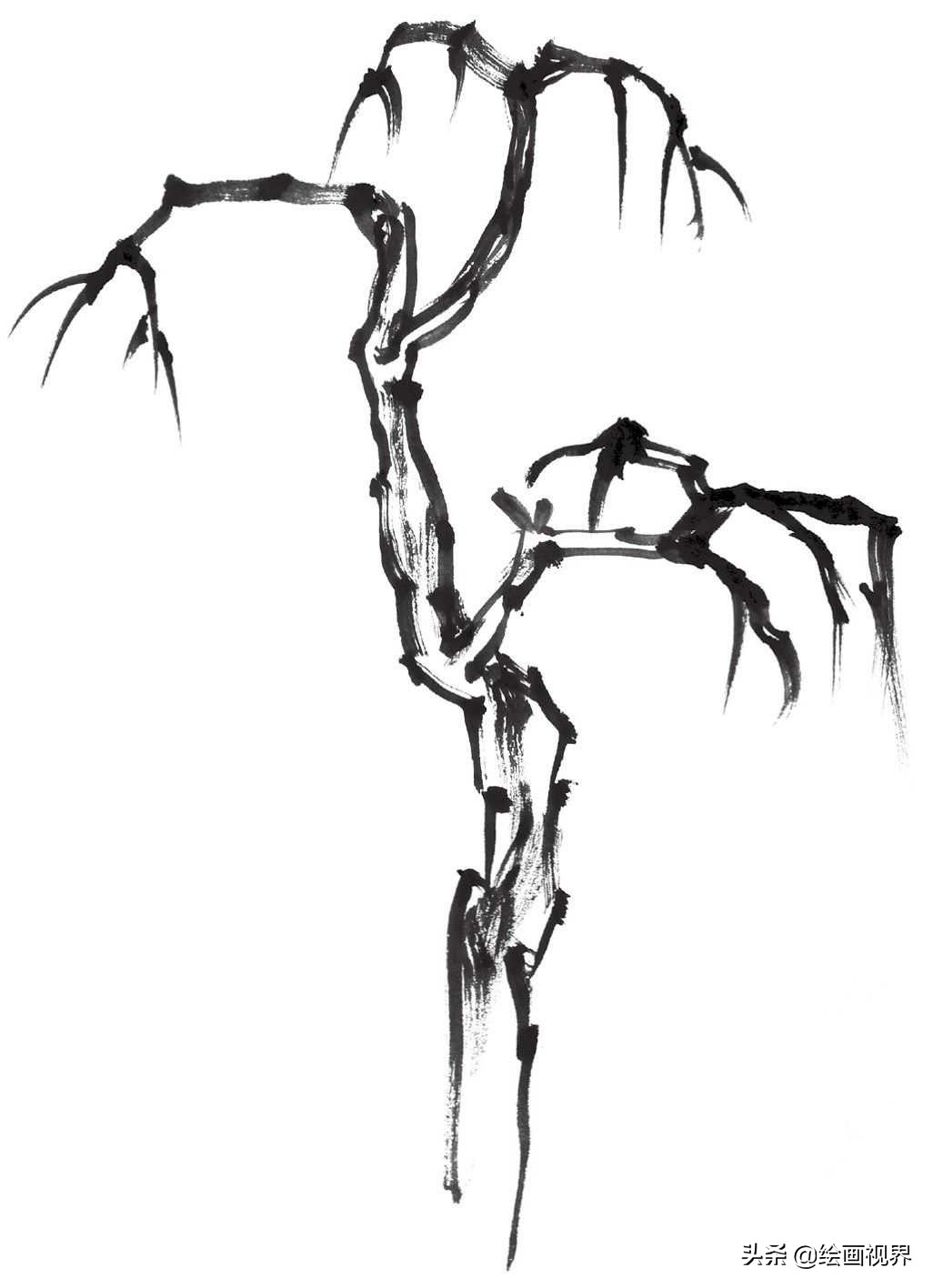 国画双钩树的画法入门,国画杂树与山石的画法图片