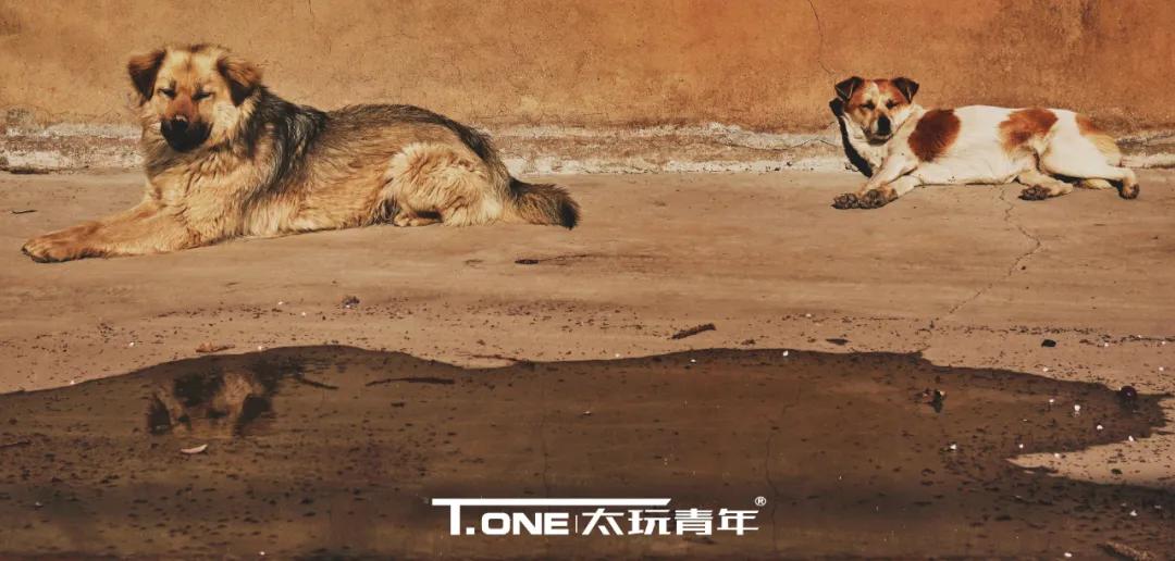 探寻榆次,探寻电子厂