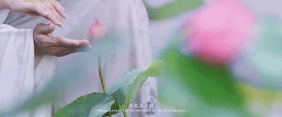 白蛇传电影哪个版本好看,白蛇传哪一部最好看