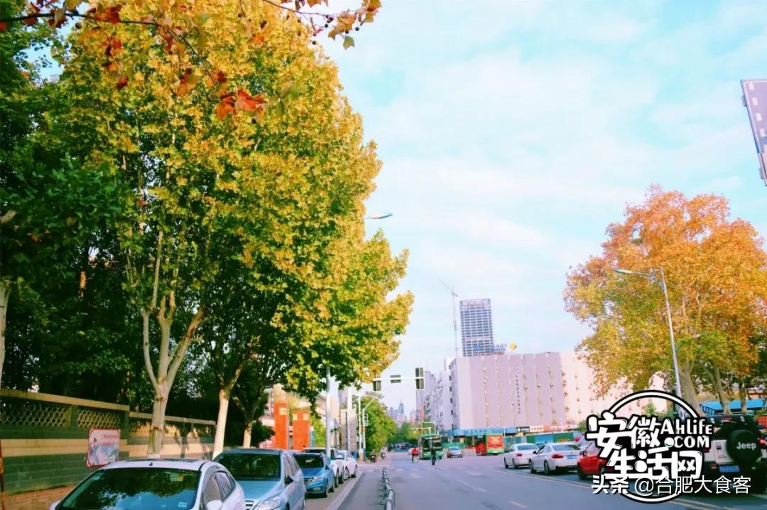 2020年,在这50个地方遇见不一样的合肥