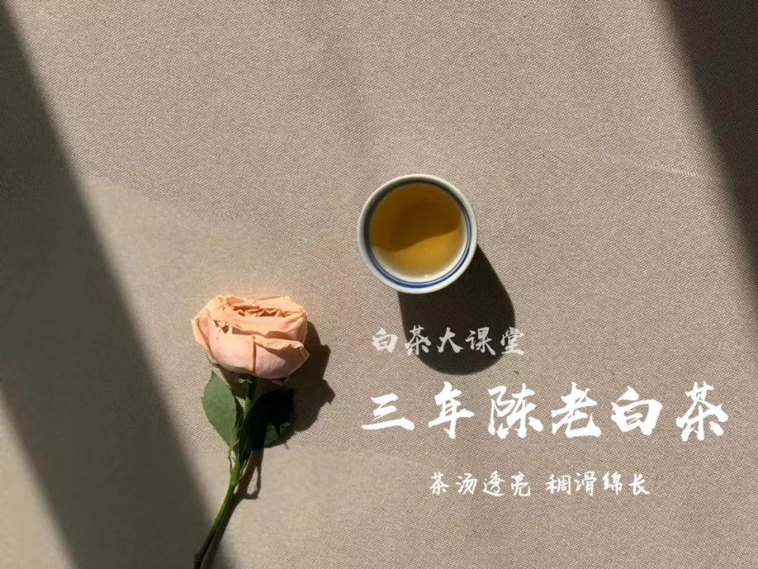 老白茶为什么是红汤,白茶汤色呈淡红