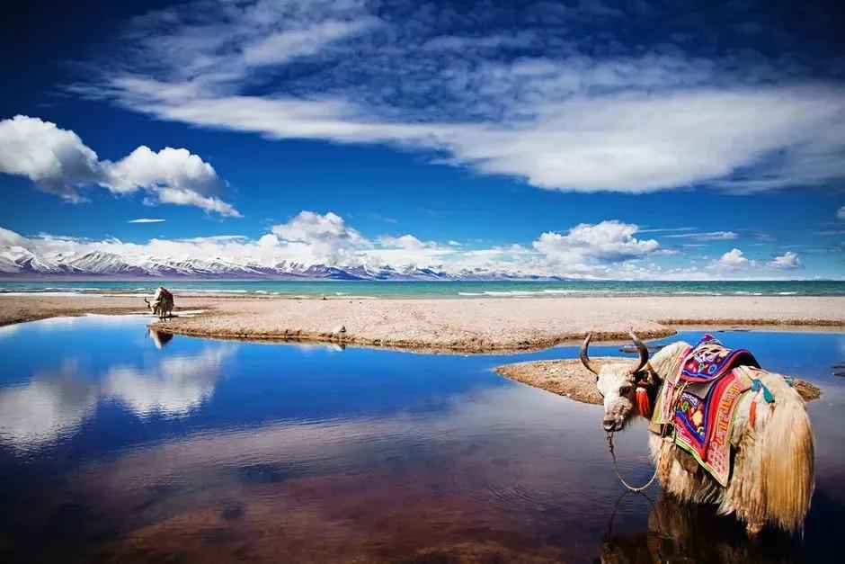 旅游带回国的特产,亚洲旅游买什么特产