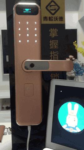 智能锁真的很差吗,智能锁科普下