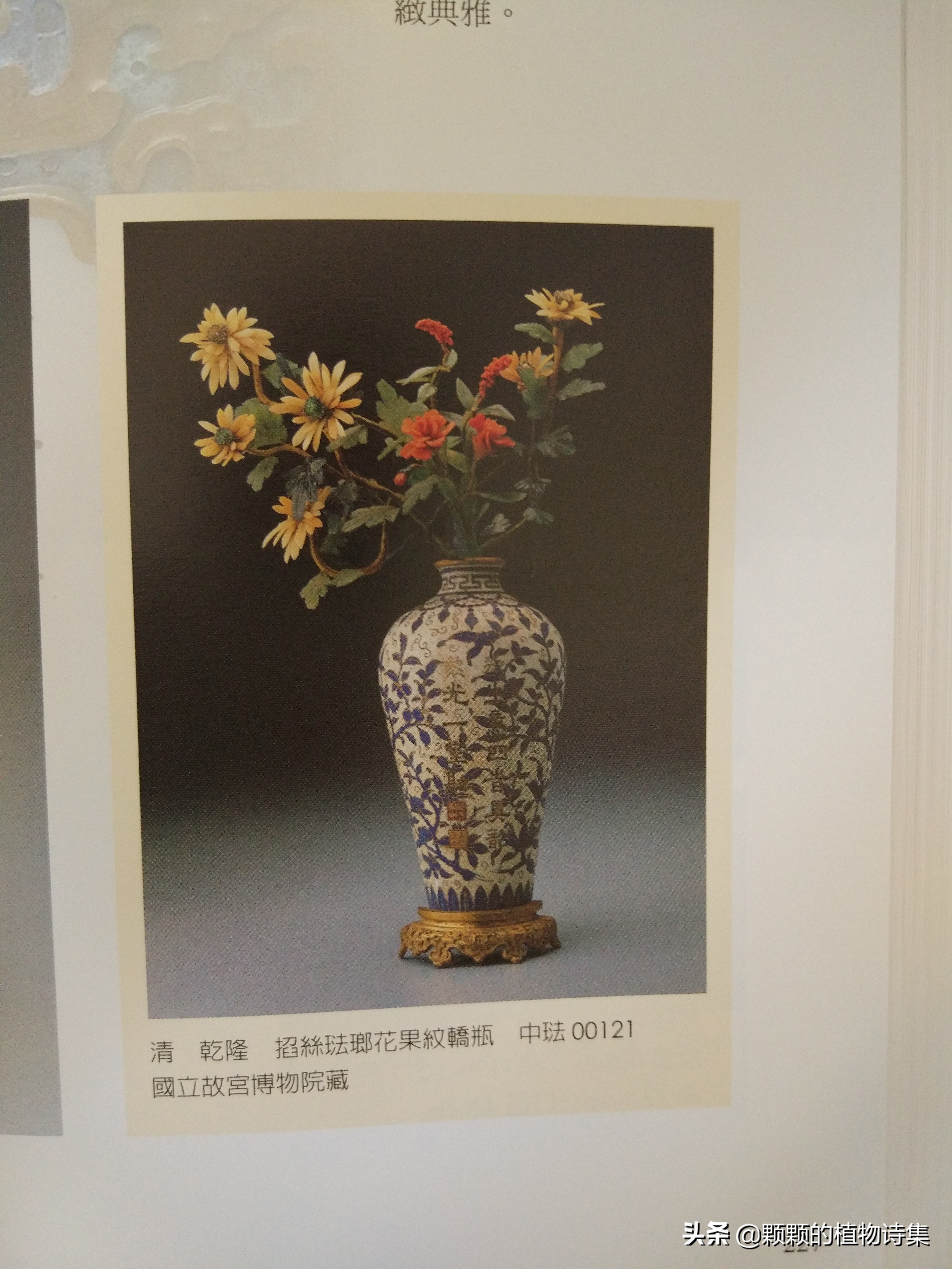 插花生活美学文学文人植物花艺雅道