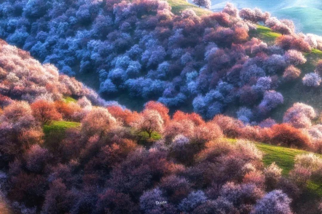 为什么说伊犁是一片净土,伊犁最后的一片净土