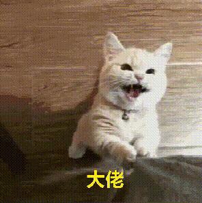 为什么清华北大也有招生老师,北大清华招生老师抢人大战