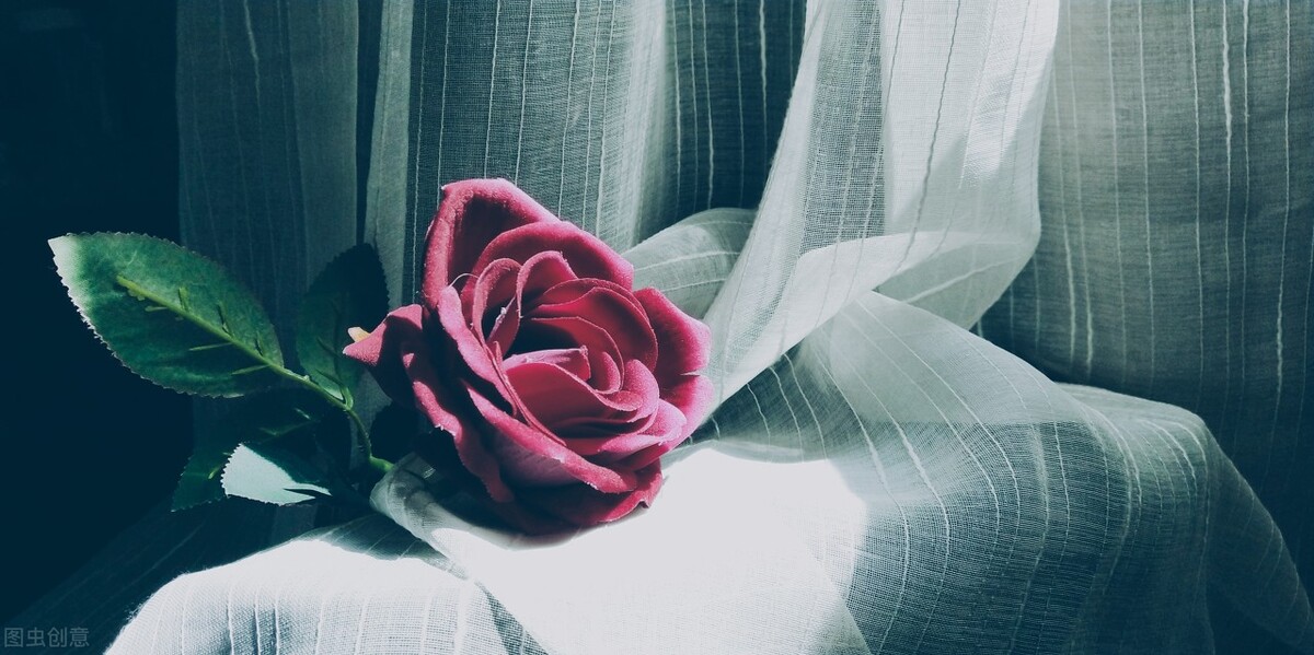 本期分享4本高质量冷门言情文,2021言情小说推荐100本