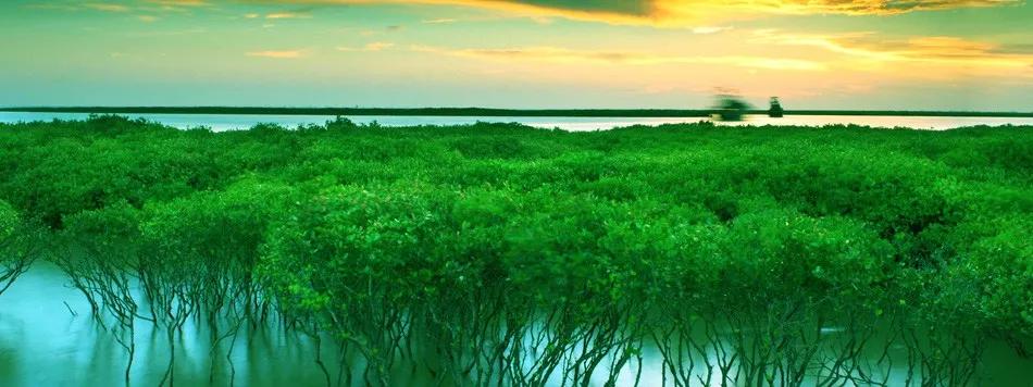 2020最强“广西大全”来了！承包柳州人一整年的旅行