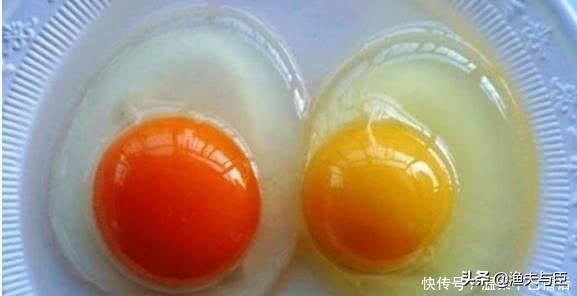 人造鸡蛋大量流入市场是真的吗,人造鸡蛋和真鸡蛋的区别在哪里