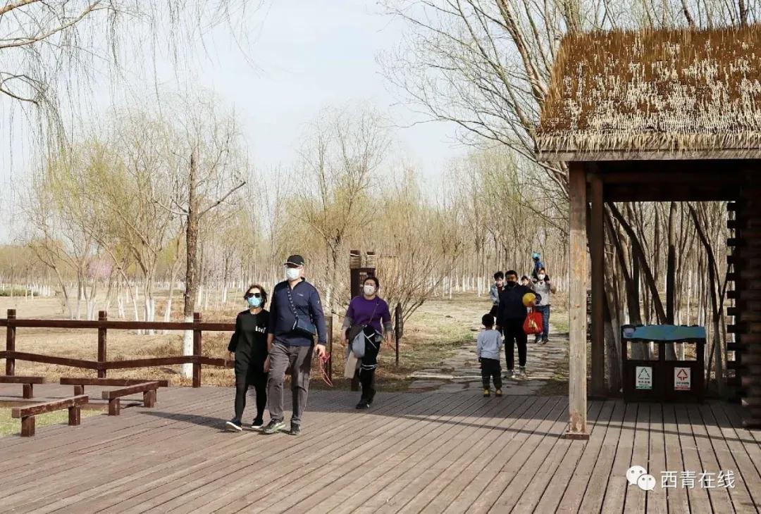 天津北辰郊野公园开放最新通知,天津都有哪些公园随时免费开放