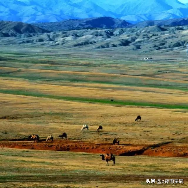 照片去雾变清晰,照片去朦胧感