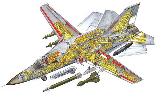 f14雄猫战机和他的飞行员们,f14雄猫战斗机永远的大猫