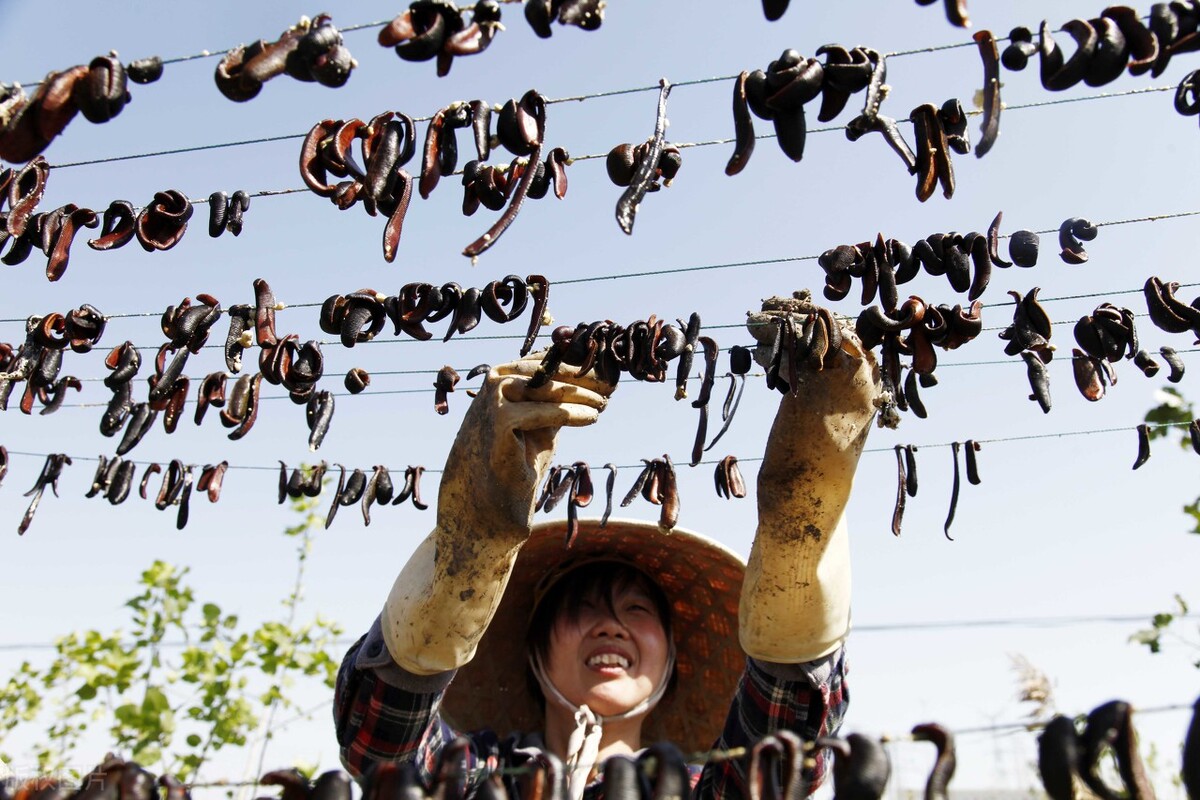蚂蝗吸血后被吸人会死吗,吸血蚂蝗扒到皮肤上怎么处理