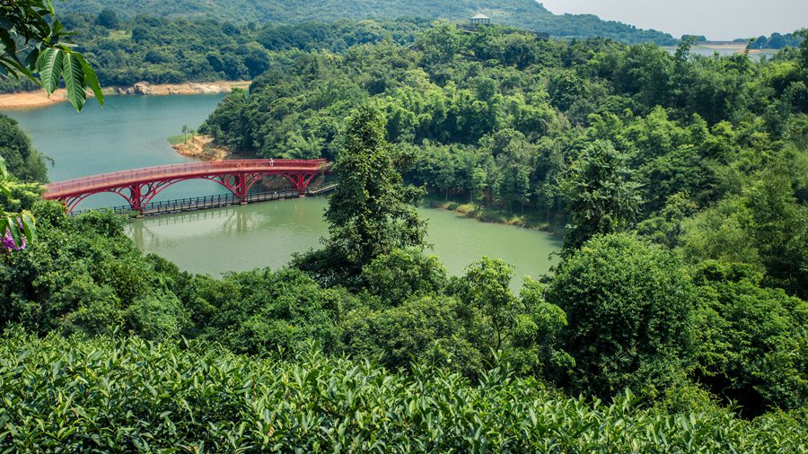 华侨城瀑布酒店房+餐+票，全部只要499！景区VIP通道免排队等你来