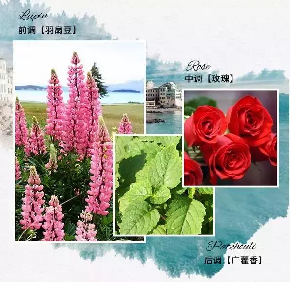 代购的大牌香水,去死皮沐浴露香味持久