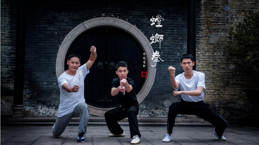 螳螂拳厉害之处在哪,现实中的螳螂拳的杀伤力多强