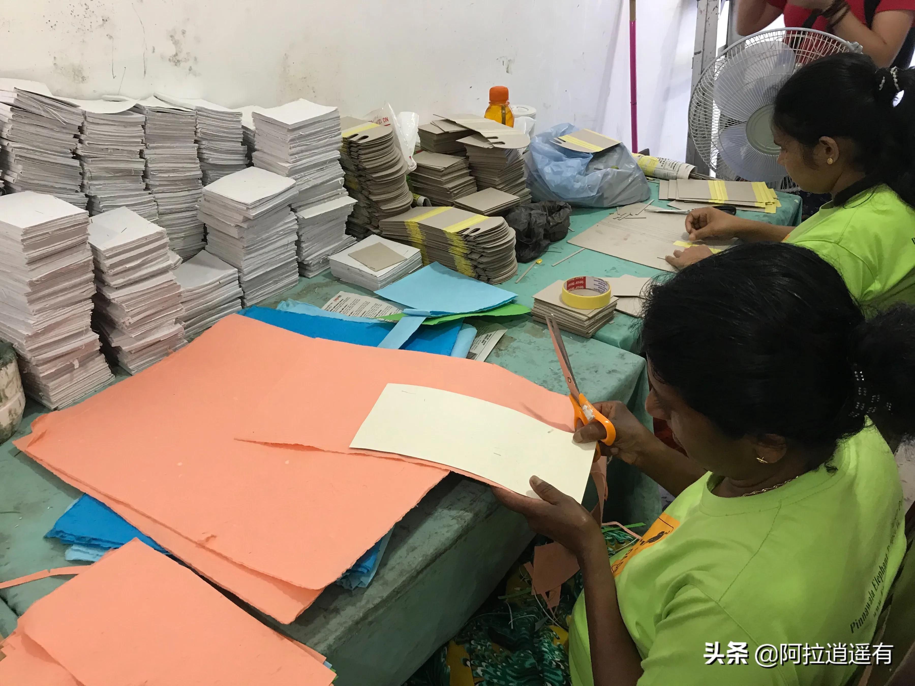 斯里兰卡大象粪便做纸,斯里兰卡大象粪便纸