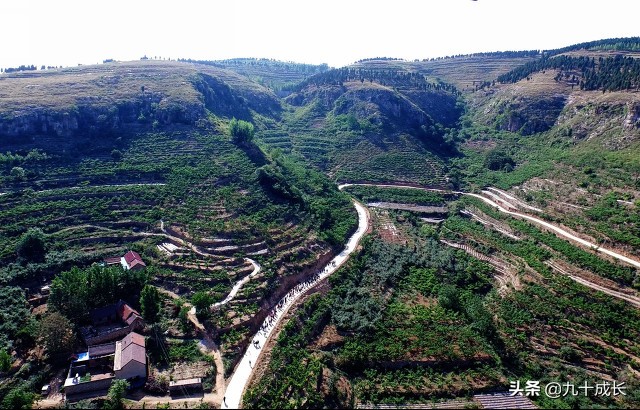 如何写影评百科知识内容,如何写影评模板