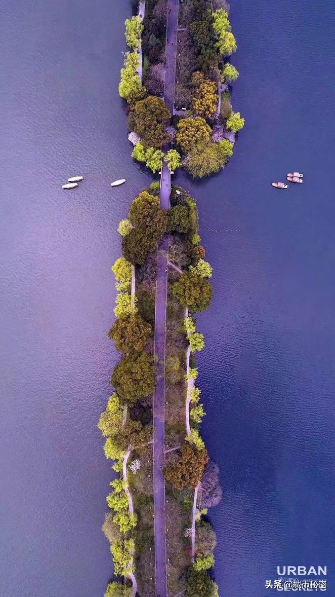 江南100，杭州99