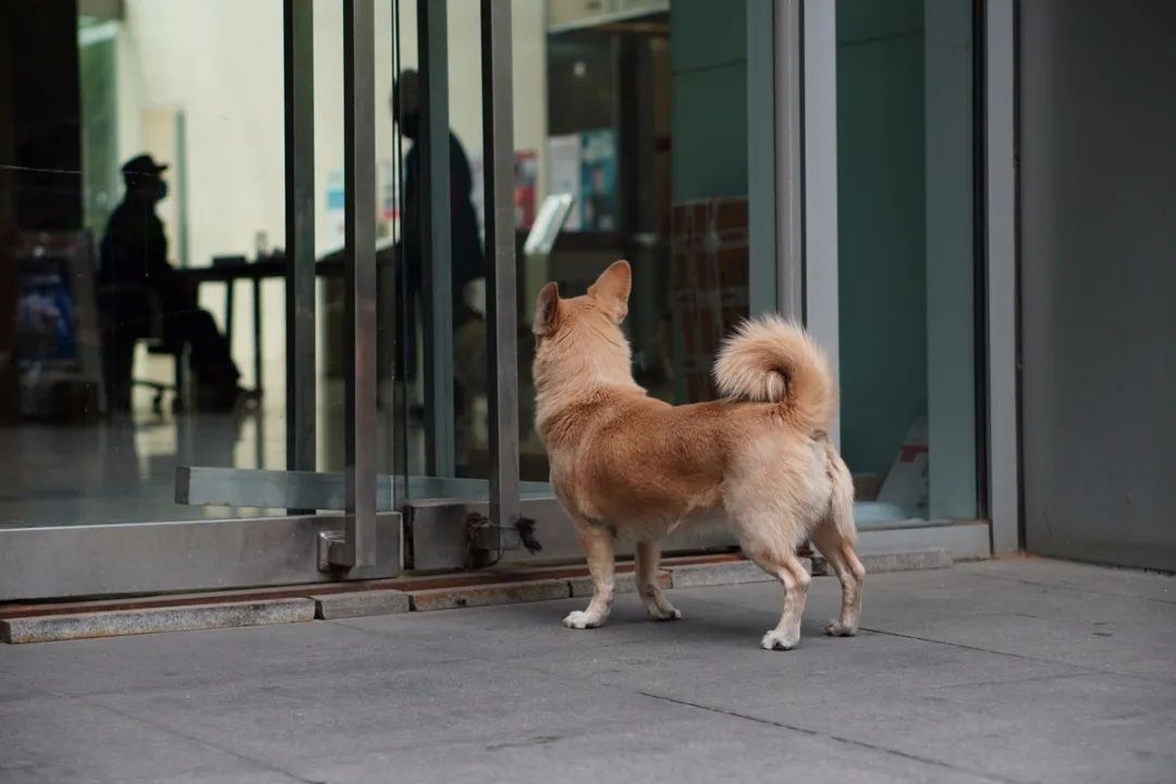 最值得入手的501.8镜头,501.2镜头值得购买吗