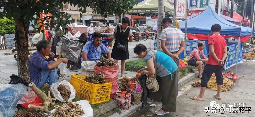 记住乡愁容县篇,记住乡愁视频美食